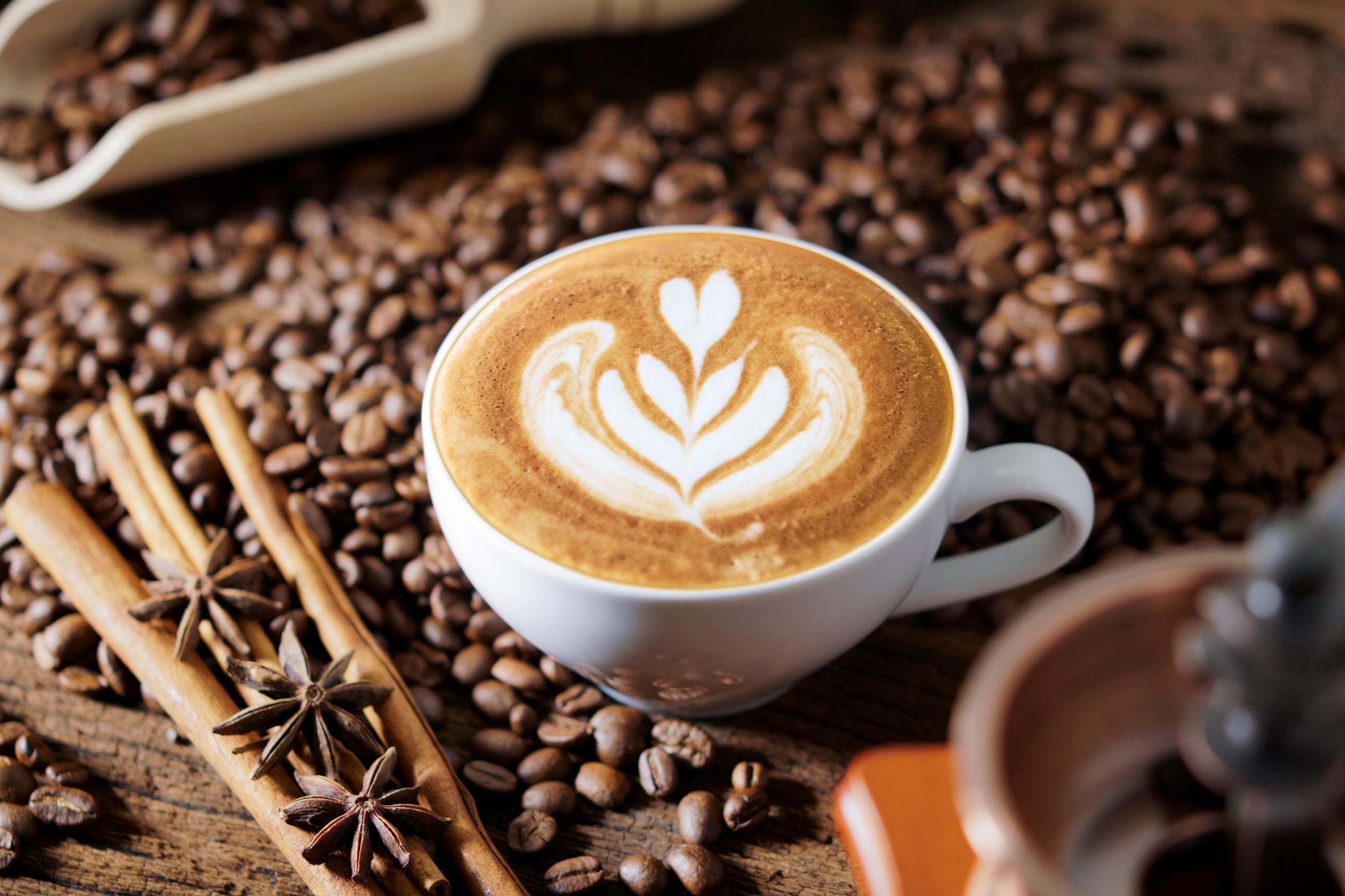 Kopi Gayo di Medan, Tempat Membeli dan Tips Memilih Kopi Gayo Aceh